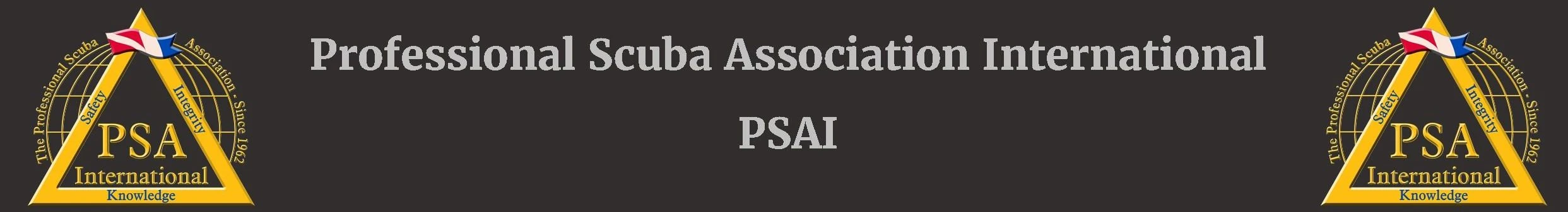 PSAI PSAI 엠블럼 — 가로형 (엠블럼 + 풀네임)